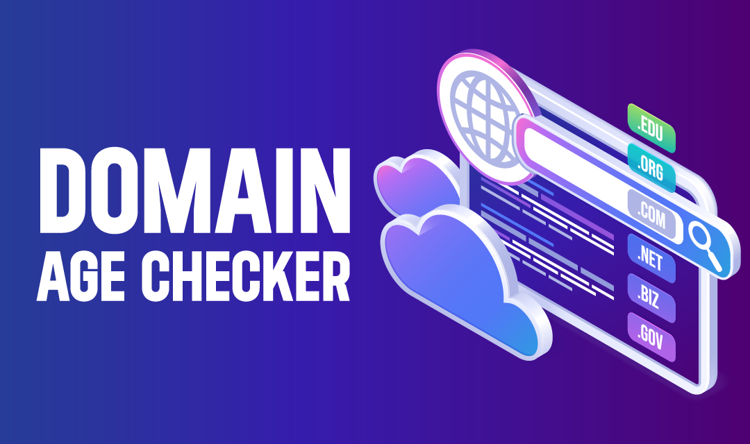Visualization of domain age checker tool